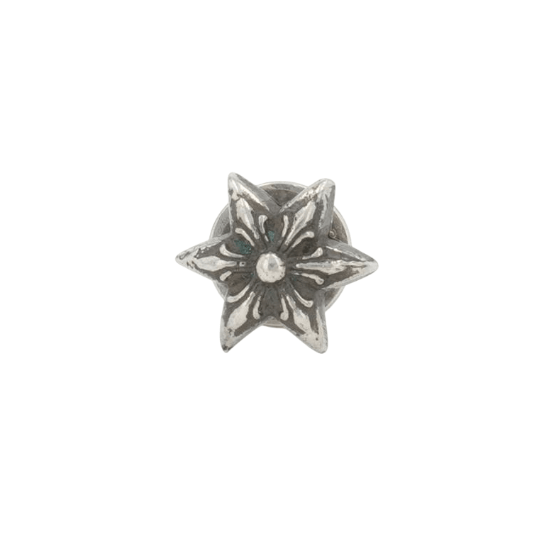 6ポイントスター 6POINT STAR 【シルバーピアス】