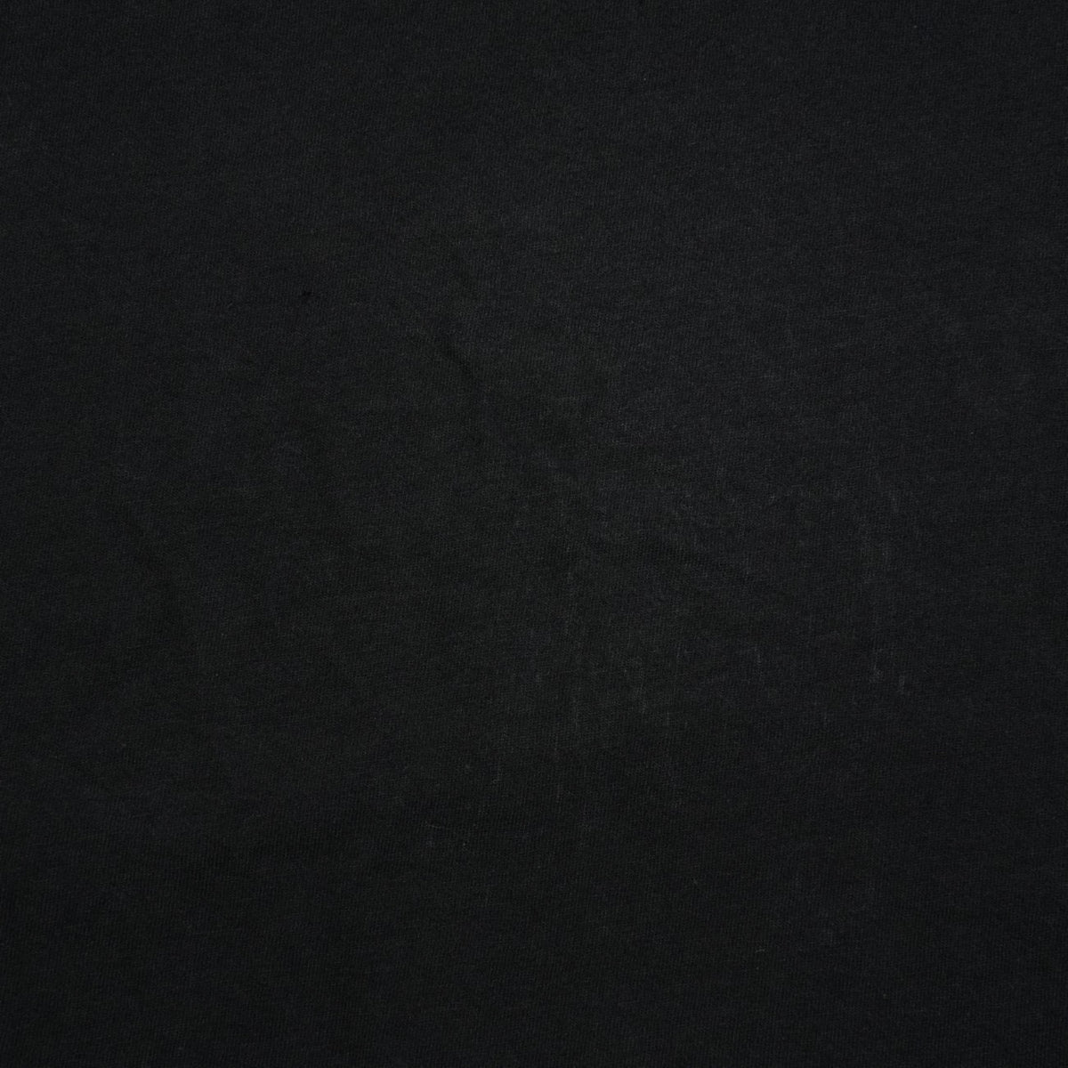 ホースシューバックプリント 【Tシャツ】【ブラック】 SIZE:L