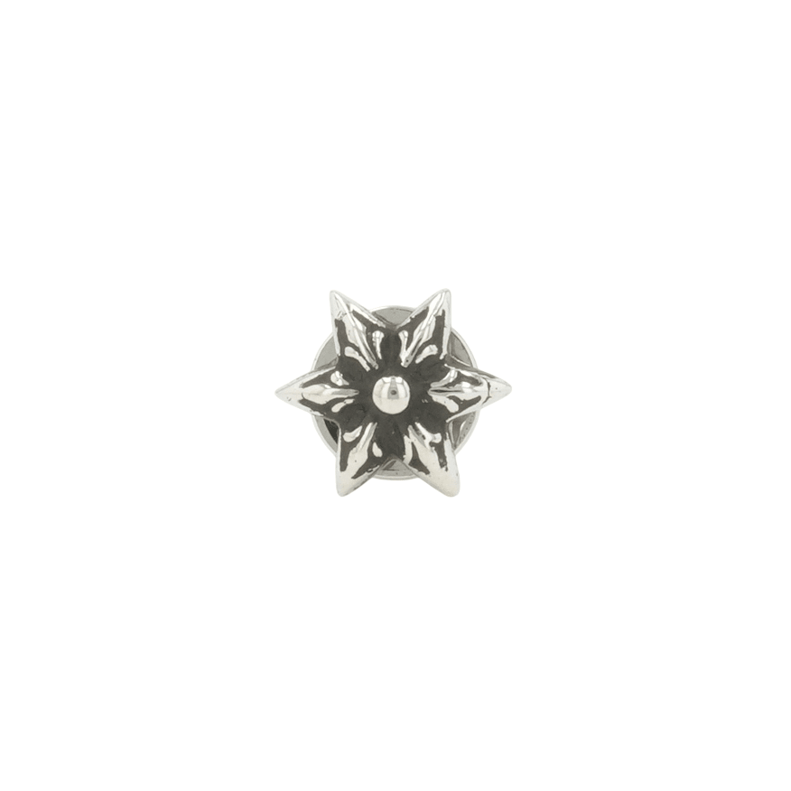 6ポイントスター 6POINT STAR 【シルバーピアス】