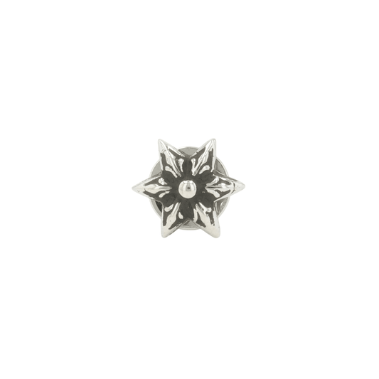 6ポイントスター 6POINT STAR 【シルバーピアス】