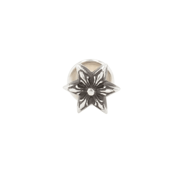 6ポイントスター 6POINT STAR 【シルバーピアス】