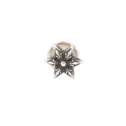 6ポイントスター 6POINT STAR 【シルバーピアス】