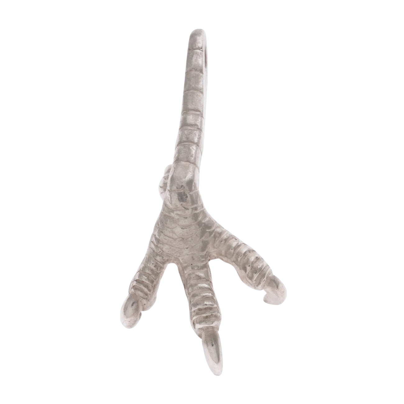 銀爪トップ(右)